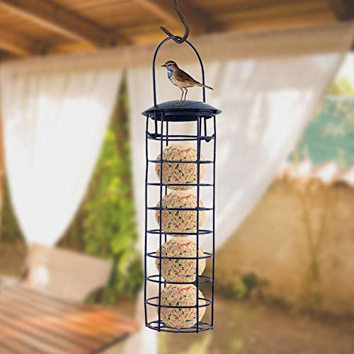 Cuttey Support de boules de graisse à suspendre, outil automatique de nourriture pour oiseaux en métal - Facile à nettoyer et à remplir - Parfait pour la décoration de jardin élégante Cover