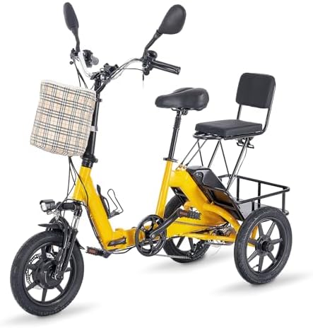Eatich Electric Tricycle for Adults, 350W 48V 10.4Ah Electric Trike, 3 Wheel Electric Bicycle with Front & Rear Baskets, 3 Riding Modes 45 Miles Ebike