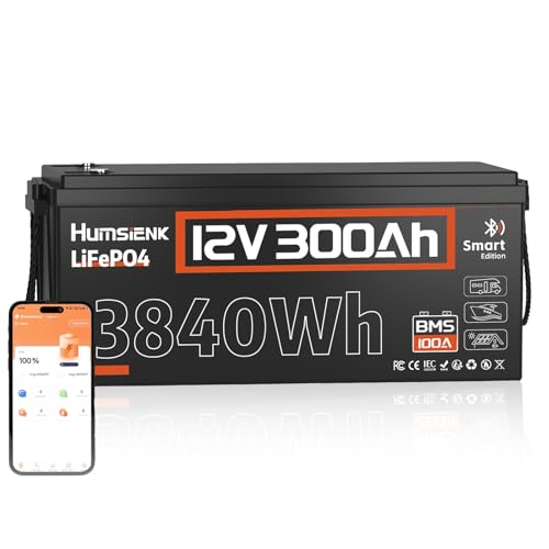 HumsiENK 12V 200Ah Battery LiFePO4 Lithium Built-in 250A BMS, 6000-15000 Deep Cycles Battery 2560Wh...