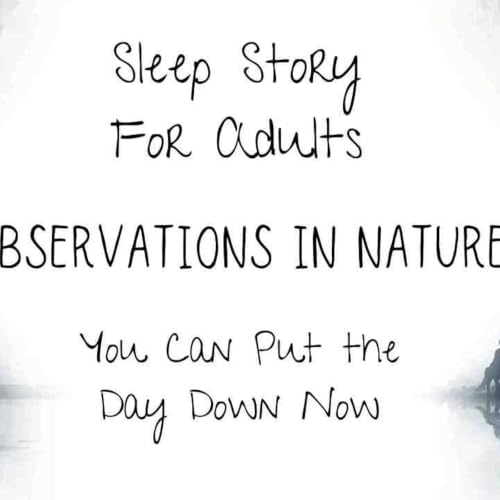 Sleep Story _ Observations in Nature_ for Deep Relaxation and Sleep