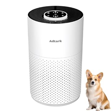 best hepa air purifier for dorm room