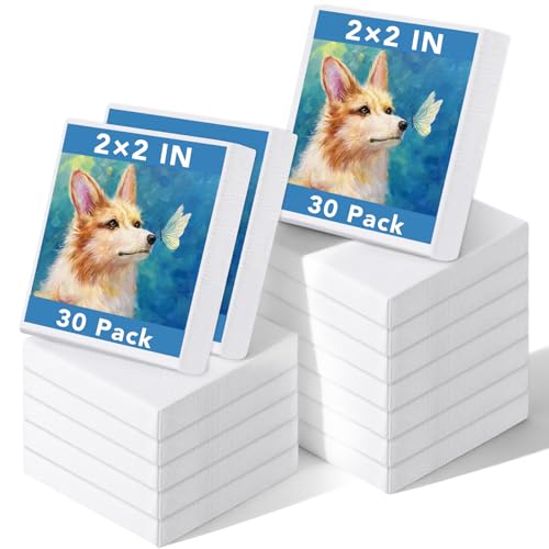 Prudiut 30 Pack Mini Painting Canvas 2x2inch Small Canvas Stretched Canvases Mini Canvases Bulk Professional Art Supplies Gifts for Beginner Artists Fathers Day Gifts