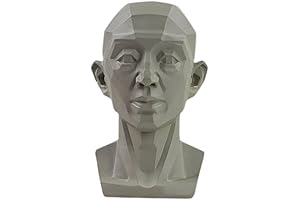 Qsnailfrr Head Model for Artists