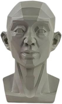 Planar Head Model for Artists, Drawing Mannequin, Planar Head Model for Artists,Planar Head Model for Artists Learn Planes of Face
