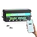 Dyness 24V 100Ah LiFePO4 Lithium Battery with Bluetooth, Deep Cycle Rechargeable Battery with Low-Temp Protection, 2560W Max for Off-Grid Solar, RV, Camper, Trolling Motor, Home Use