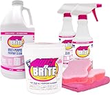 Quick N Brite 14015 All Purpose Liquid/Paste Cleaning Kit