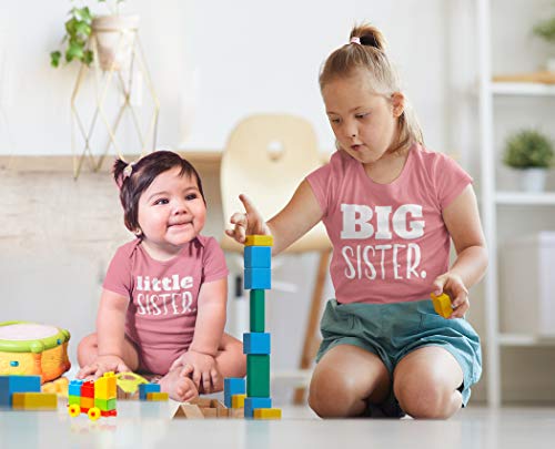Big Sister Little Sister Matching Outfits Shirt Gifts Girls Newborn Baby Set (Mauve, Kid (6Y) / Baby (3-6M)) #TOP3