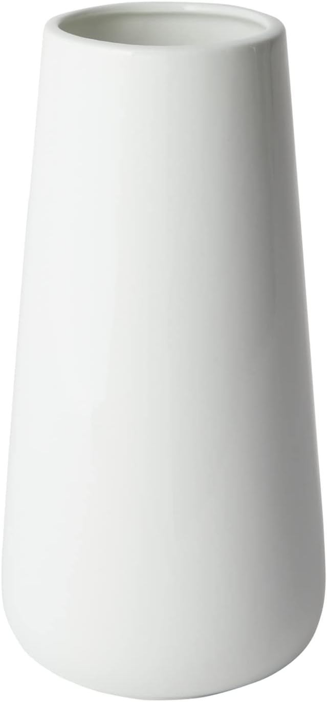 Farmlyn Creek Natural Pampas Grass Bundle & Ceramic Vase - 40 Stems, 16 in Tall, Ivory - Dried Pampas Grass Decor - Rustic Farmhouse Home Decor - Table & Wedding Centerpiece