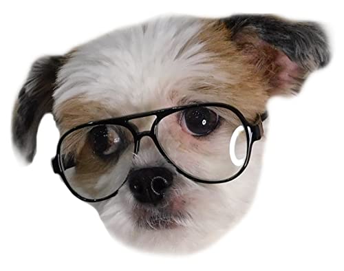 G030 Dog Cat Pet Aviator Costume Glasses For Small Breeds Up To 15Lbs (Black-Clear) #TOP1