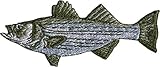 Striped Bass Fish - Green And Grey - Embroidered Iron On Or Sew On Patch