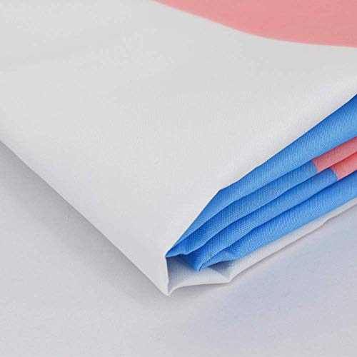 TABANA Bandeira Transgênero Progress Pride de 1,5 m LGBT LGBTQ Bandeira Transgênero Rainbow Trans Fl