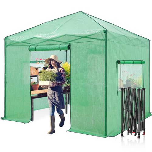 EAGLE PEAK 10x10 Easy Setup Pop Up Greenhouse, Clear/Green