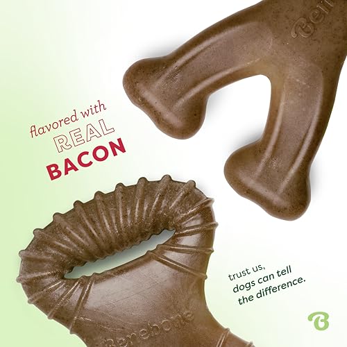 Image of Benebone Tiny 2-Pack Dog Chew Toys, Made in USA, Real Bacon Flavor