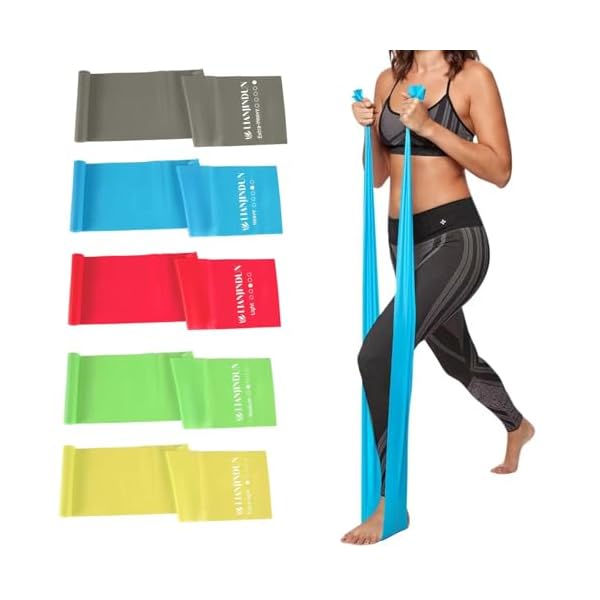 5 Pcs Professional Resistance Bands. Latex-Free, Elastic Band, Work Out Bands, Stretch Bands for Working Out Women or Men, Exercise Bands Set for Physical Therapy, Yoga, Pilates