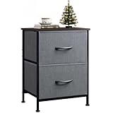 WLIVE Nightstand, 2 Drawer Dresser for Bedroom, Small Dresser with 2 Drawers, Bedside Furniture, Night Stand, End Table with Fabric Bins for Bedroom, Closet, Entryway, College Dorm, Dark Grey