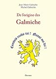  De l\'origine des Galmiche (nom de famille, talmelier, comtois, choronyme)