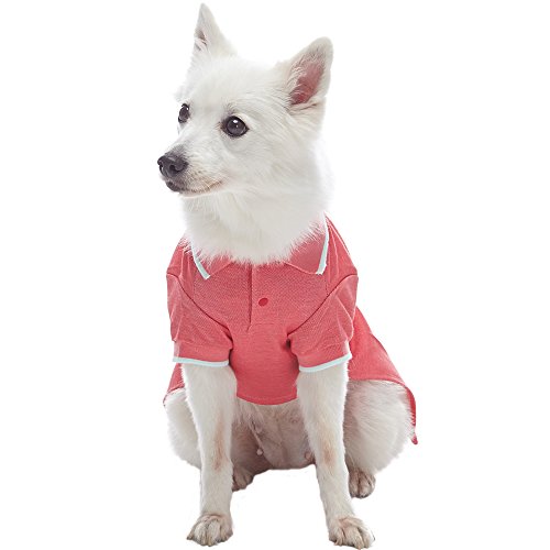 Blueberry Pet Pack Of 2 Back To Basic Cotton Blend Dog Polo Shirts In Mint Blue And Terra Cotta Red, Back Length 14", Clothes For Dogs #TOP4