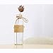 Habbi Glass Vases Set of 6, Clear Glass Flower Vase with Rope Design for Home Decration