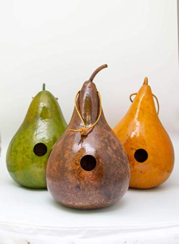 Gourd Birdhouses - Birthday Gift for Bird Lover - Birdhouse Gourds - Green - Mahogany - Yellow
