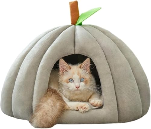 g h Lbg ^  ybgpi ~ L xbh ybg nEX h[^ ӂӂ  J{` _炩 NbVt \tg ~ 􂦂 Q (L,O[)