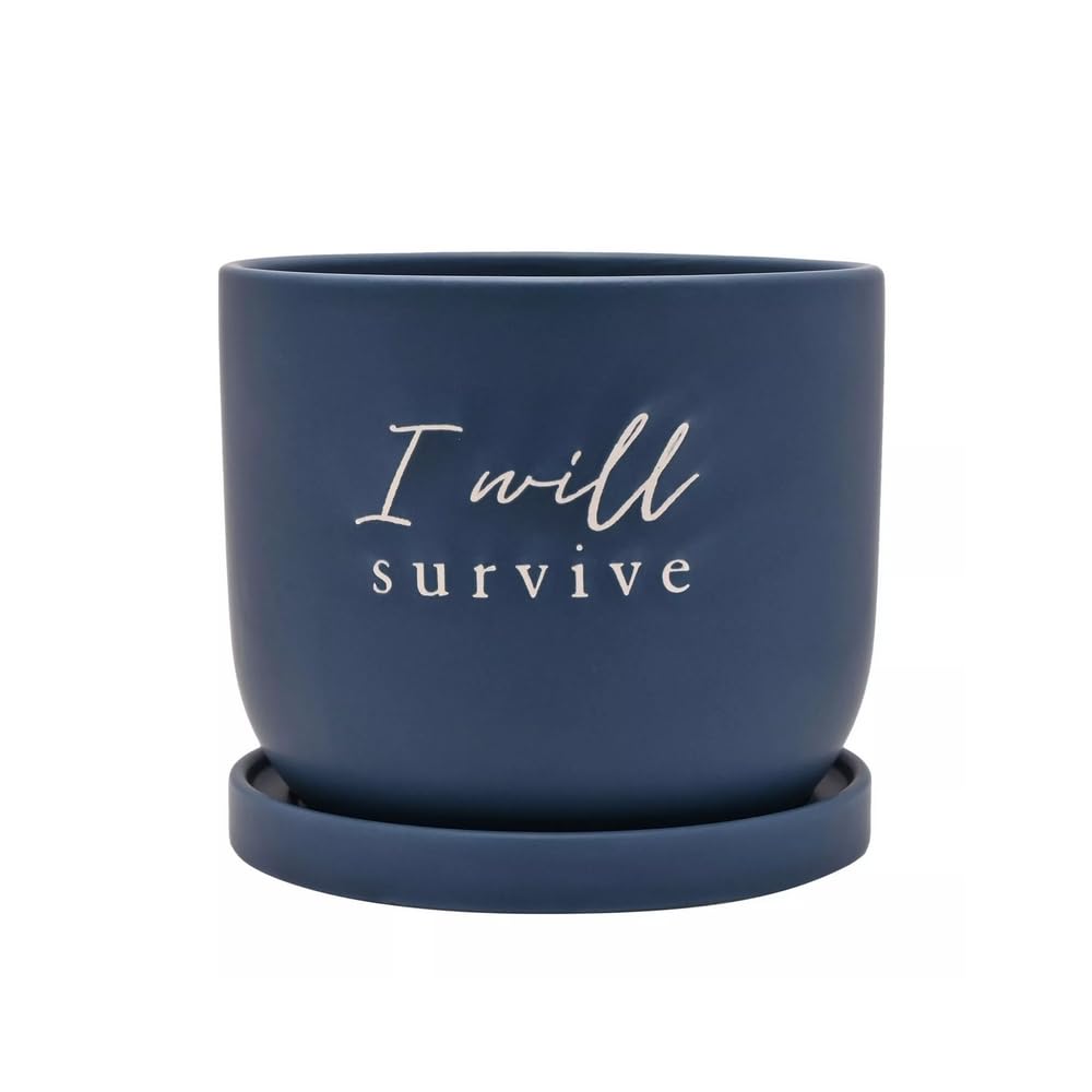 Country Living Funny Plant Pot Ceramic Planter with Saucer (I Will Survive)