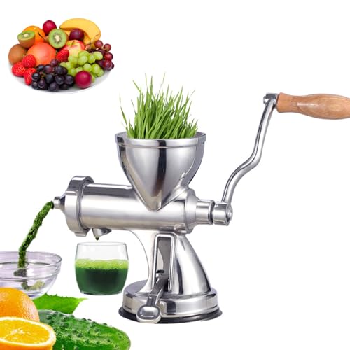 HYZHANHONG Pressa lenta a Spirale Manuale, spremiagrumi Alimentare in Acciaio Inossidabile, pressa lenta Adatta per Grano, Erba, Frutta, Mele, pere, Verdure, cavoli
