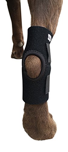 Labra Co. Dog Canine Rear Leg Hock Joint Wrap Protects Wounds as they Heal Compression Brace Heals and Prevents Injuries and Sprains Helps Arthritis (Large)