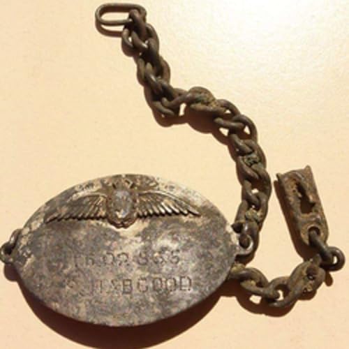 Visiting the natzweiler-struthof and Strasbourg by train and walking