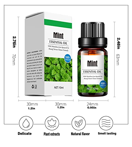 Aceite Esencial para Difusor de Menta 10ML miniatura 5