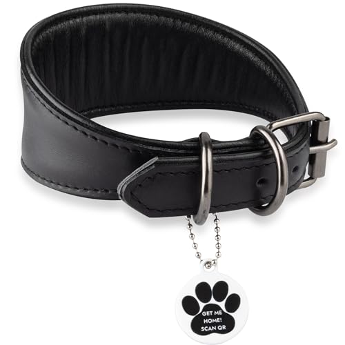 FAVPET Echtleder Windhund Halsband mit QR Code Anhänger, Weiches Lederhalsband Hund Breit Whippet Italienisches Windspiel Saluki Lurcher Spanischer Galgo Greyhound Podenco, Hundehalsband Leder (XS)