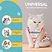 Avont Cat Recovery Suit - Kitten Onesie for Cats After Surgery, Cone of Shame Alternative Surgical Spay Suit for Female Cat, Post-Surgery or Skin Diseases Protection -Christmas(M+)
