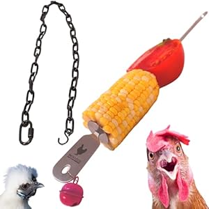 12 Inch Treat feeder for Chickens and large birds. Hang Fruit and Veggies On Stainless Steel Hanger for Hens. 2 Foot…