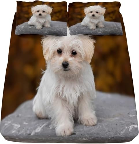 Colchones Perros Extra Grandes Marca Generic