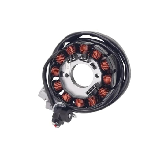 Bobina de estator de alternador compatible con Yamaha WR 250 5UM-81410