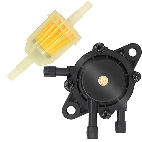 Best Fuel Pumps For Briggs