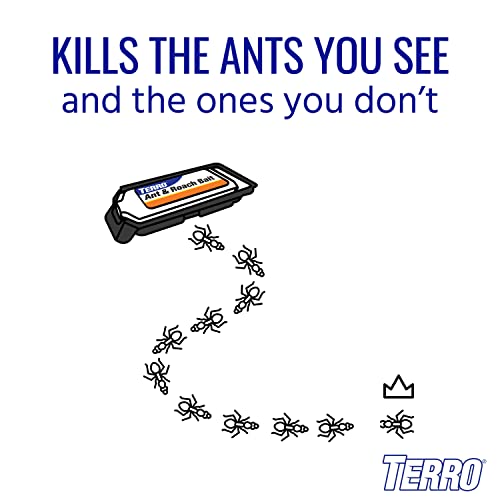 TERRO Ant & Roach Bait, 4-Pack, Indoor Ant Killer and Roach Killer - image 4