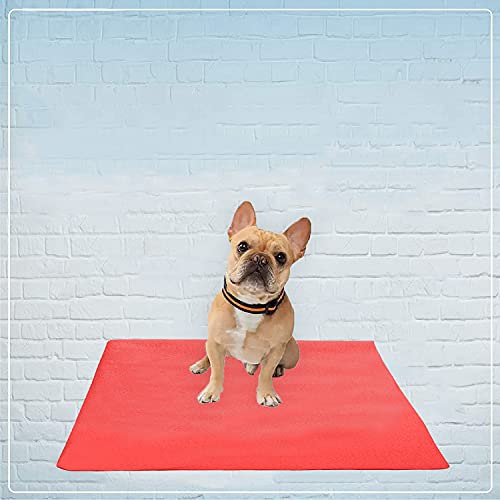 Image of Trance Waterproof Pet Training Pads | Reusable Pee Pad for Dogs Cats Puppy and Pets | Washable Pet Dry Sheet | Potty Trainer | Soft and Hypo-Allergenic (Medium, Size 1 x 0.7 m | 100 x 70 Cms, Coral)