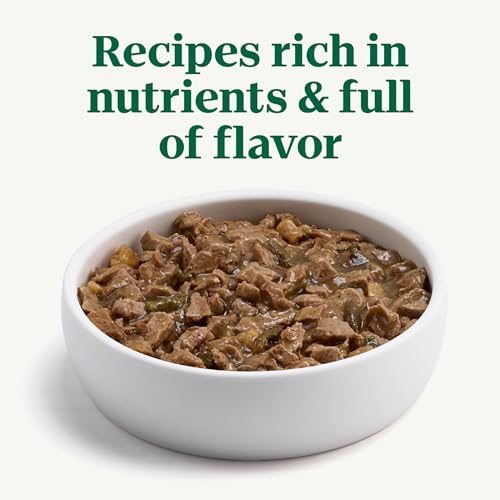 Image of Nutro Hearty Stew Wet Dog Food, Roasted Turkey, 12.5 oz, 12 Pack