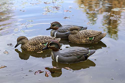 Flambeau Outdoors 8015Suv Storm Front 2 Green-Winged Teal Decoys, Classic Floaters - 6-Pack #TOP5