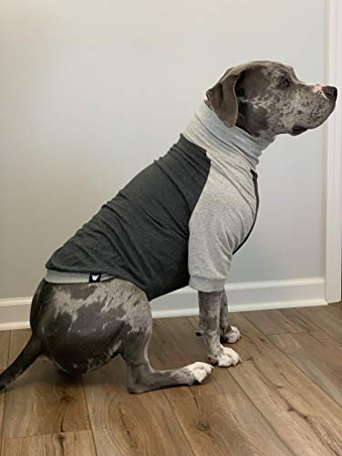 Tooth & Honey Big Dog/Pullover/Large Dog Shirt/Light Weight Shirt/Color Block Shirt/Summer Shirt (Extra Large) #TOP7