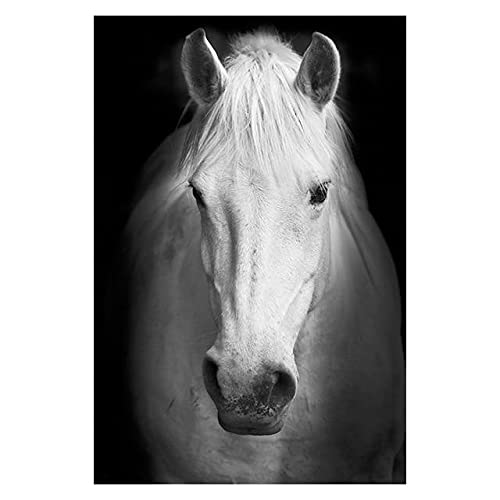 Shukqueen Painting by Number, DIY Oil Painting Kit for Beginner, Adults, Home Decoration, Black and White Horse, 20x26 Inch, Frameless