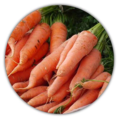Vitaminbombe Smoothie – Die 15 besten Produkte im Vergleich - vitafit ...