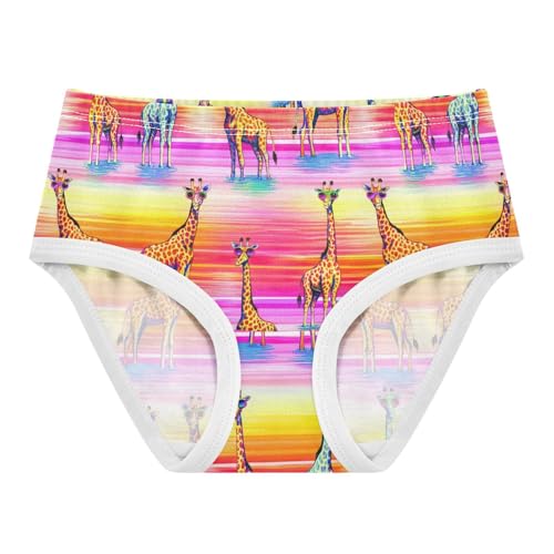 Joisal Toddler Underwear Floral 2t Cotton Girl Panties Cute Fun Print Briefs Undies Kids Colorful Giraffes Stripe