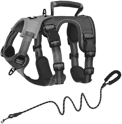 PUPTECK Upgraded Escape Proof Dog Harness and Leash Set No Pull Adjustable Reflective Dog Vest with Padded Lift Handle for Medium Large Dogs Walking Training, Grey/Black, XL