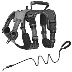 PUPTECK Upgraded Escape Proof Dog Harness and Leash Set No Pull Adjustable Reflective Dog Vest with Padded Lift Handle for Medium Large Dogs Walking Training, Grey/Black, XL