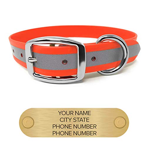 reflective dog collars personalized