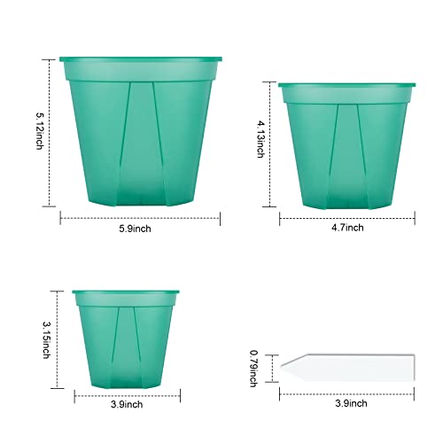 Greenpara Green Transparent Plastic Planter 4/5 /6 Inch Plant Nursery Pots With Drainage Hole Indoor Modern Decorative Containers For Orchid Plants Herb Flowers Cactus With 10Pcs Plant Labels, 12Pcs #TOP1