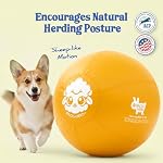 Race&Herd 18" Original XXL Herding Ball for Dogs - Herding Toys, Giant Dog Ball for Australian Shepherds, Border Collies - Durable Dog Outdoor Training Toy for Small Breeds (Gold) - Image 2