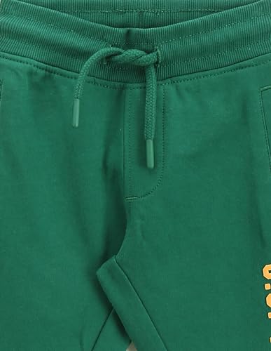 Image of U.S. Polo Assn. Kids Regular fit Boys Cotton Track Pants