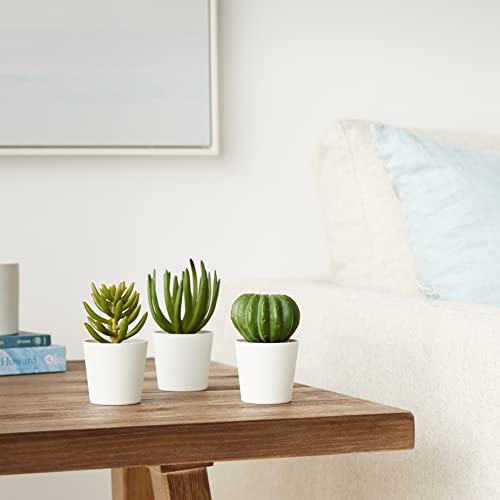 Amazon Basics Artificial Mini Succulent Fake Indoor Plants With Plastic Planter Pots, 3 Pack, Green #TOP3